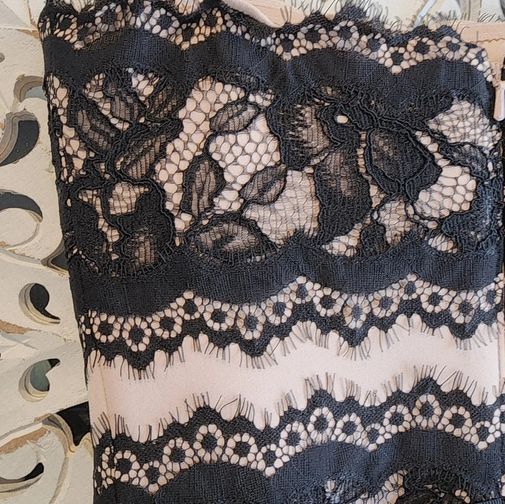 TADASHI SHOJI SHEATH LACE STRAPLE DRESS BLACK & NUDE TONE SIZE 2 - Picture 8 of 13